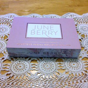 June Berry Gua Sha stone and roller set, new